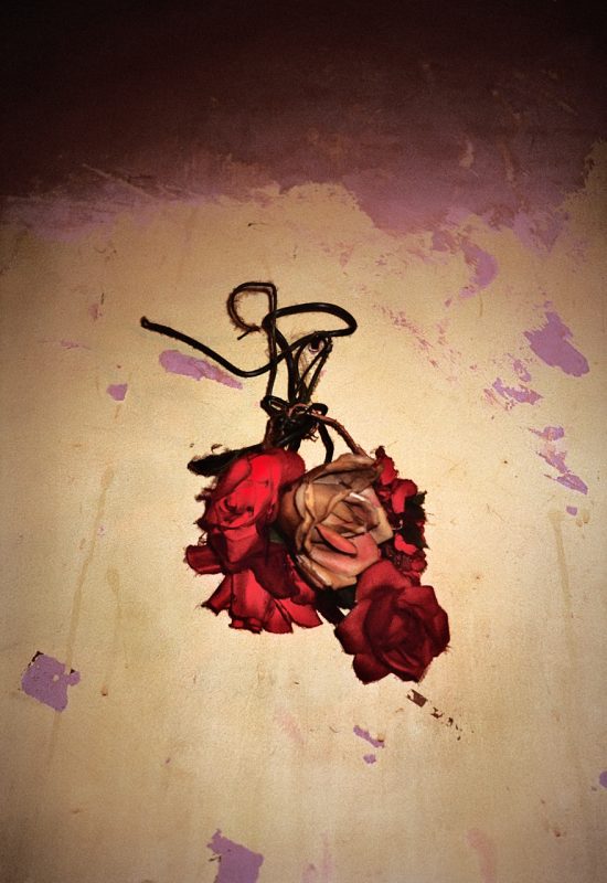 41 Hewitt Road, London, 1996 — Anna Fox