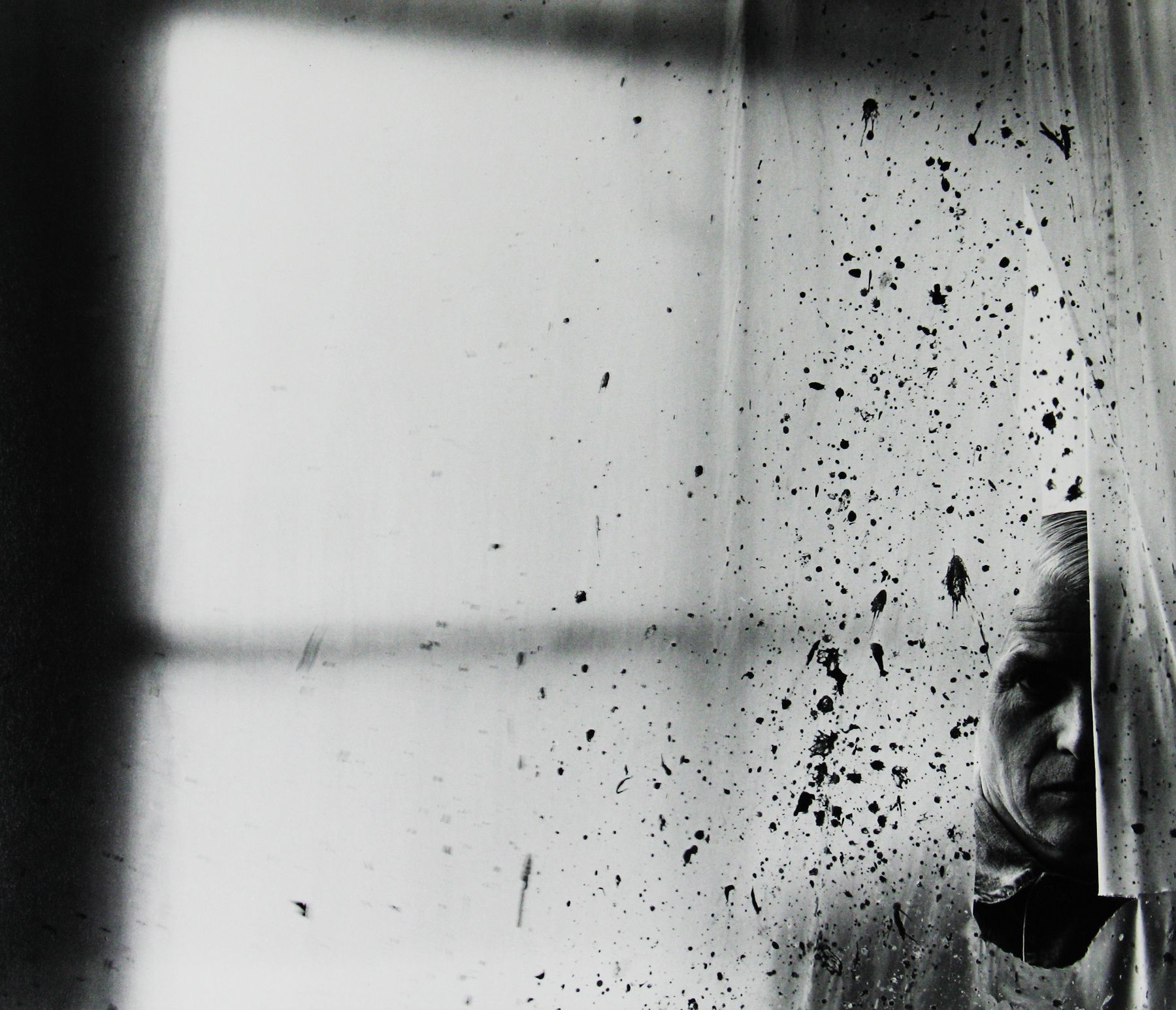 Willem de Kooning by Arnold Newman