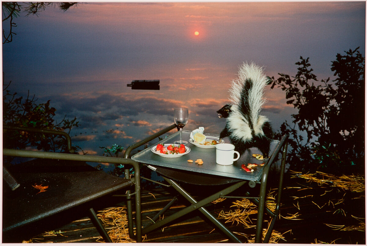Skunk and Strawberries on Great Pond, Manscape with Beasts, 1985 — Barbara Norfleet