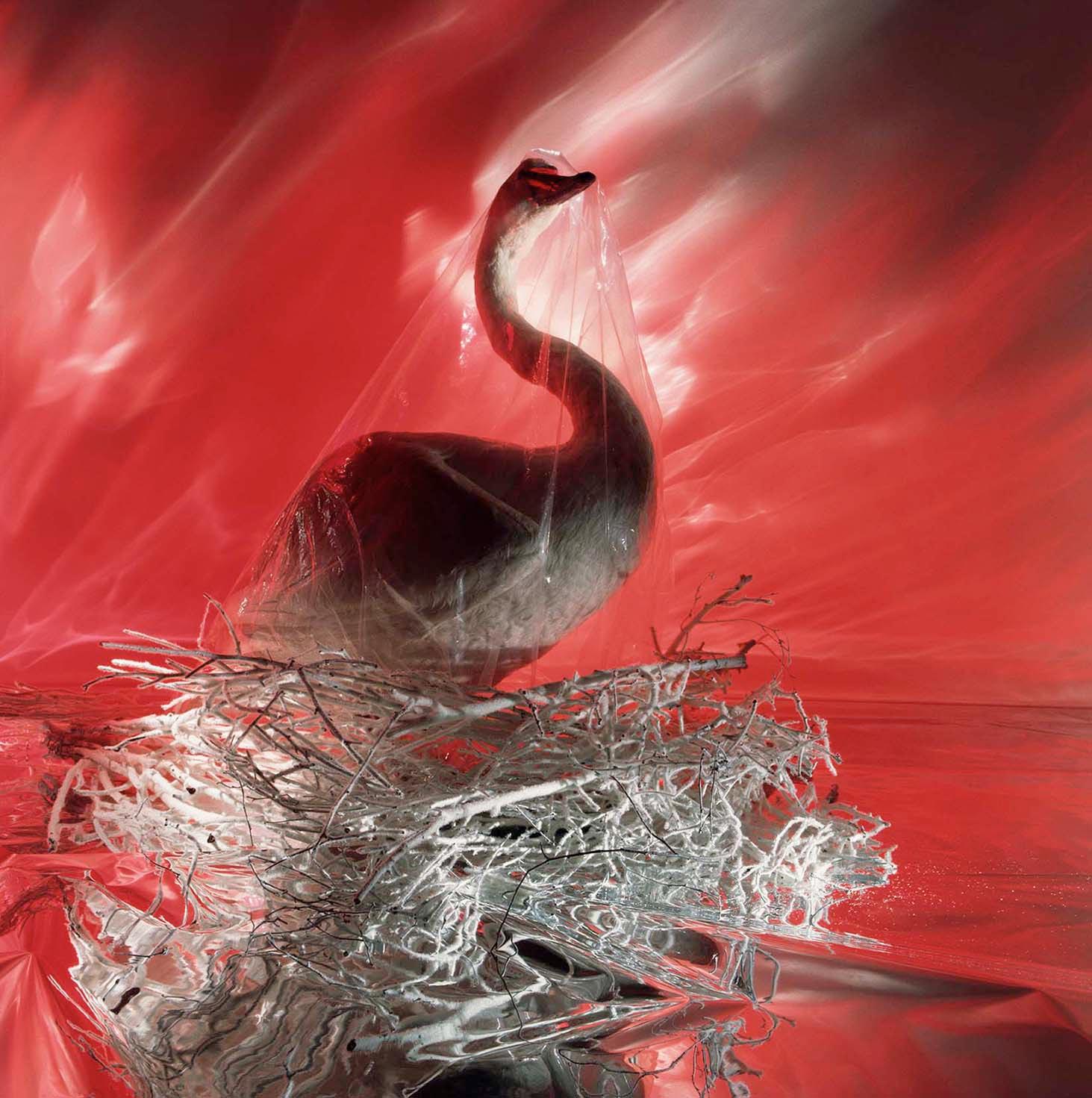 Depeche Mode, Speak & Spell Album Cover, 1981 — Brian Griffin