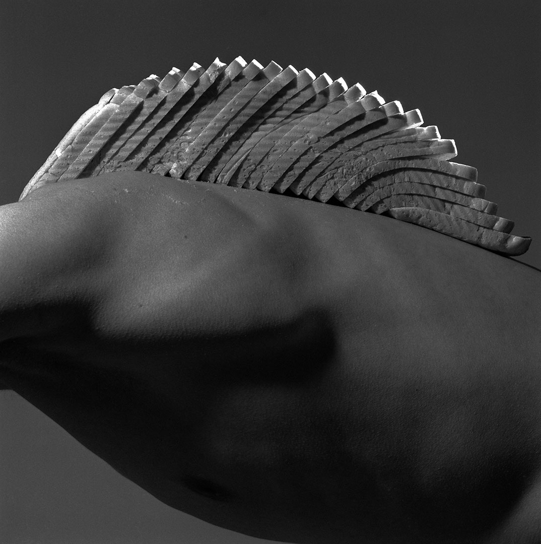 Sliced Bread, Mother's Pride, 1986 — Brian Griffin