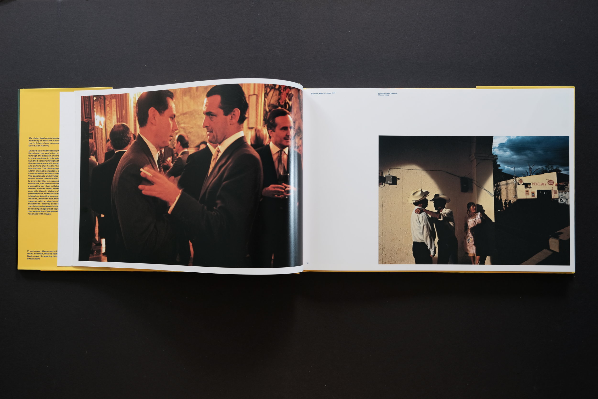 Divided Soul — Flamenco — David Alan Harvey