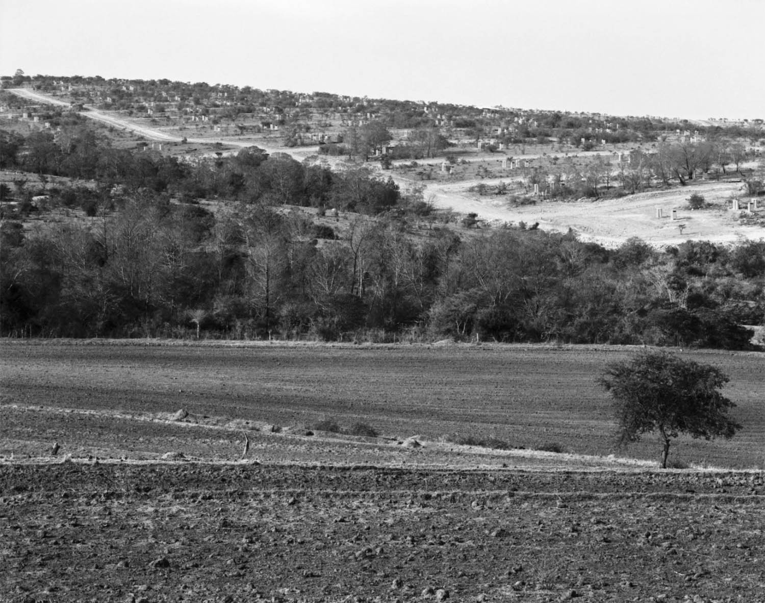 Landscape with 1500 Lavatories, Frankfort, Ciskei, 1983 — David Goldblatt