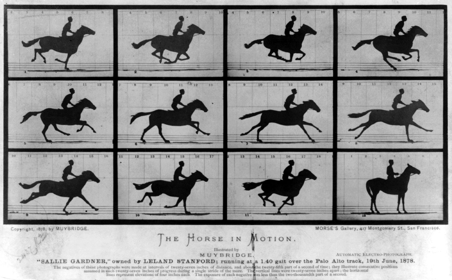 The Horse in Motion — Eadweard Muybridge, 1878