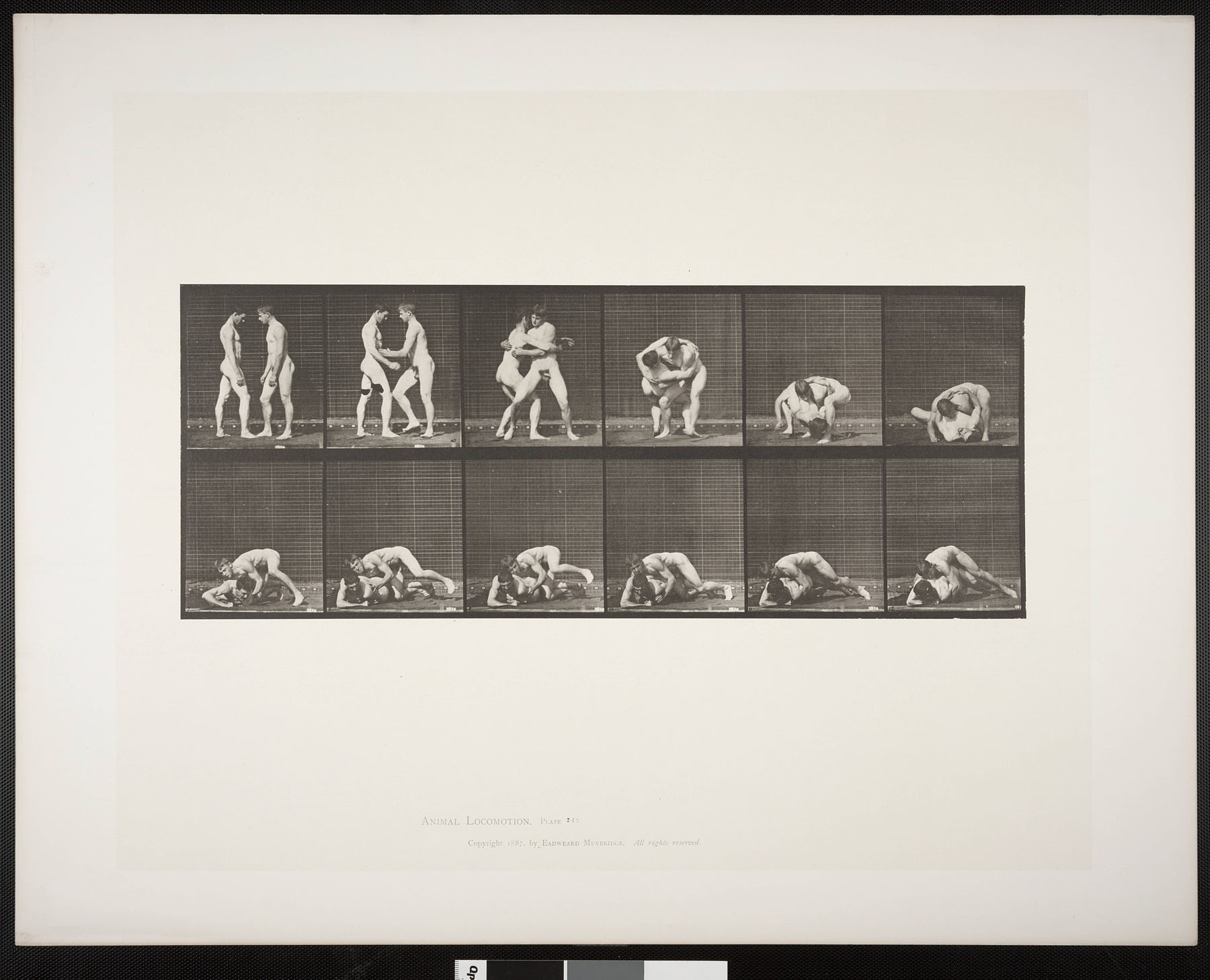 Nude Men Wrestling — Eadweard Muybridge, 1887