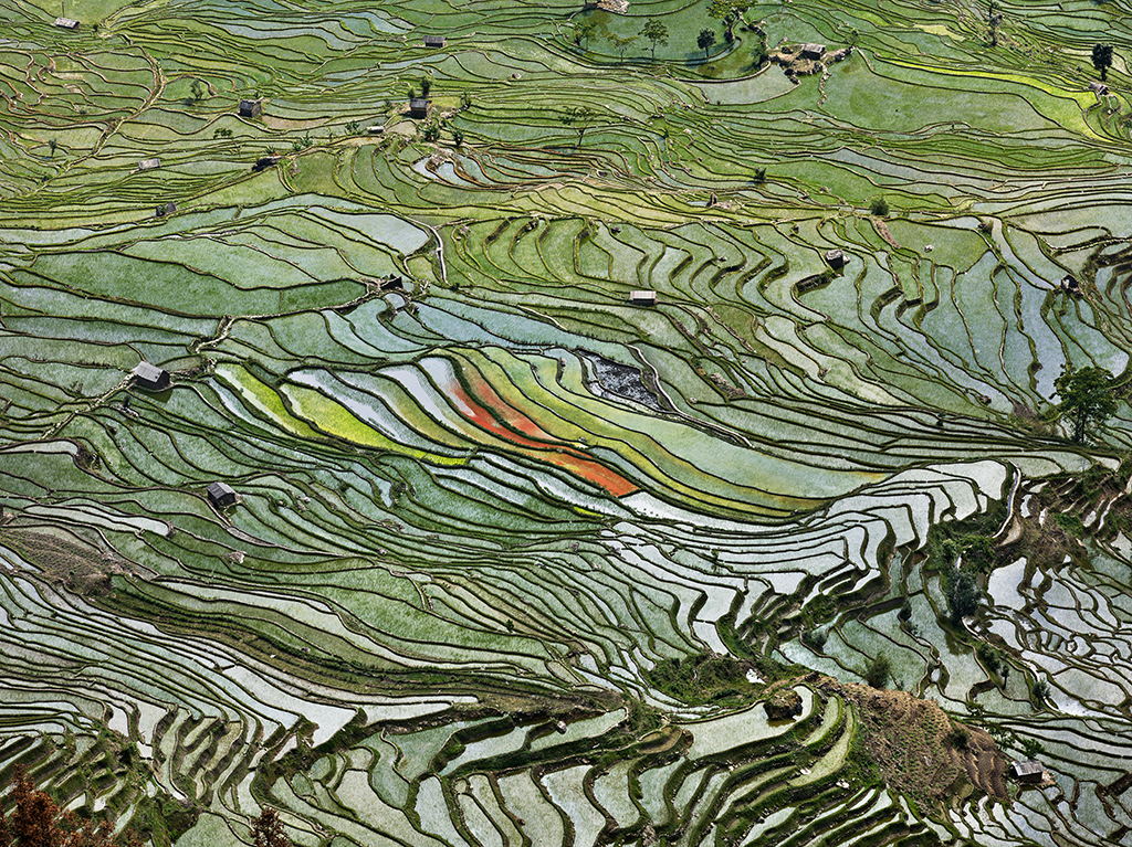 Rice Terraces #2 — Edward Burtynsky, 2012