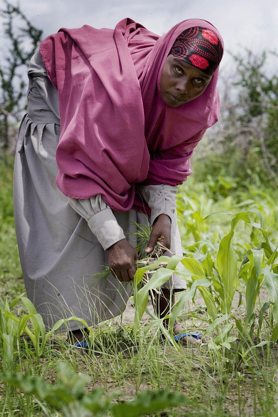 Somali woman at Ifo Refugee Camp, Dadaab, Kenya