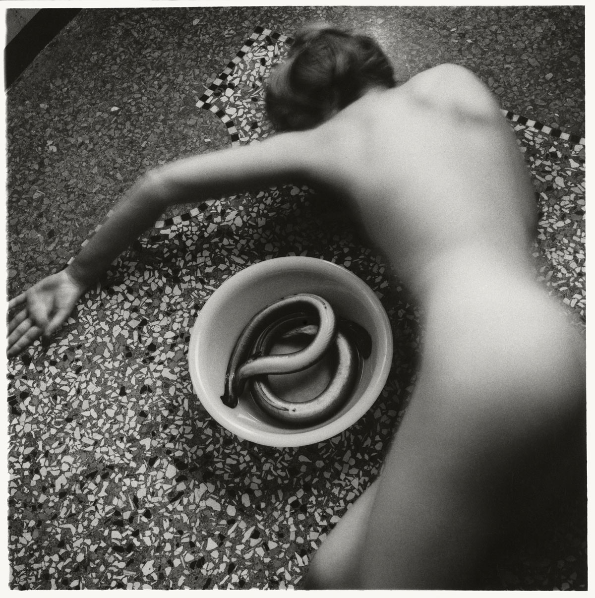 Self-Portrait with Eel, Rome, 1978 by Francesca Woodman