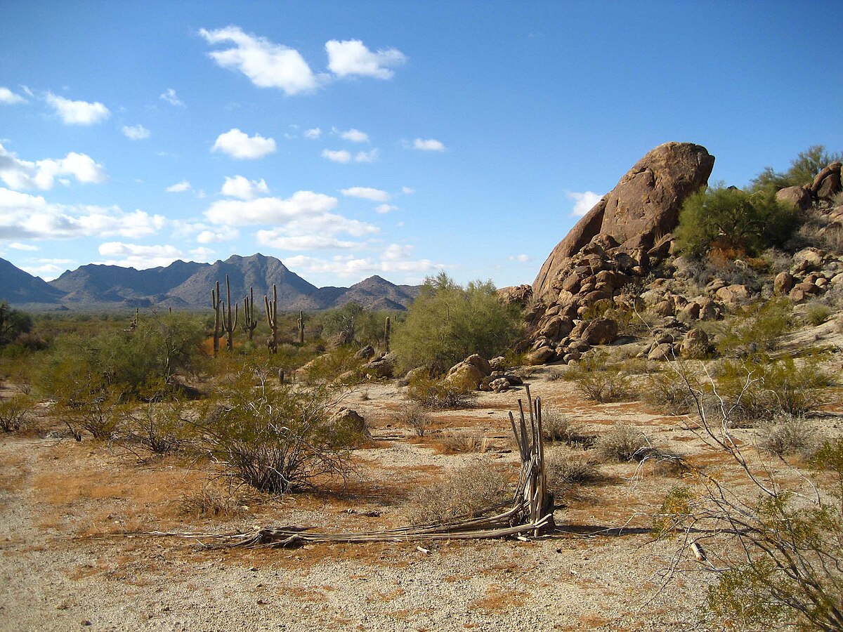 Sonoran Desert terrain with scrub vegetation