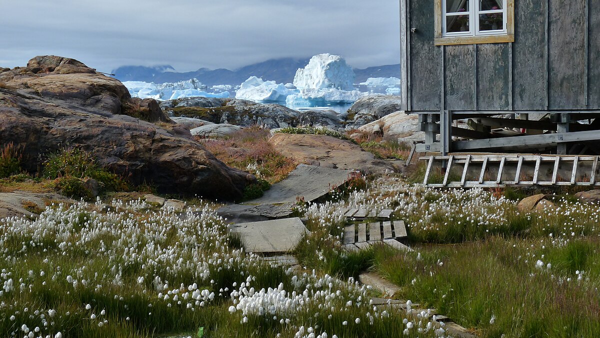 The settlement of Tiniteqilaaq in East Greenland where Sobol lived