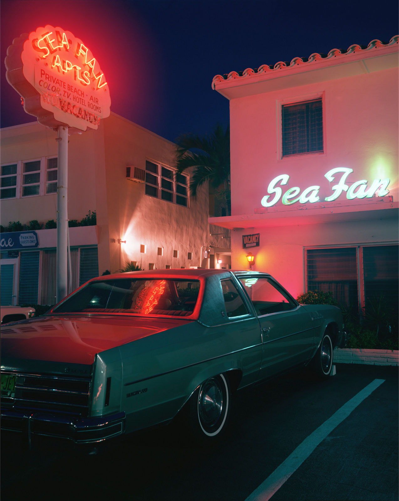 Florida, 1978 — Joel Meyerowitz
