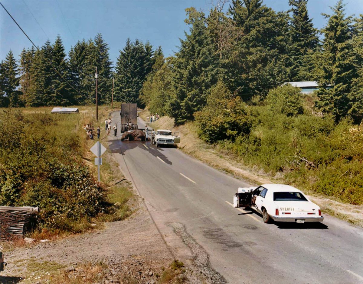 Exhausted Renegade Elephant, Woodland, Washington, 1979 by Joel Sternfeld