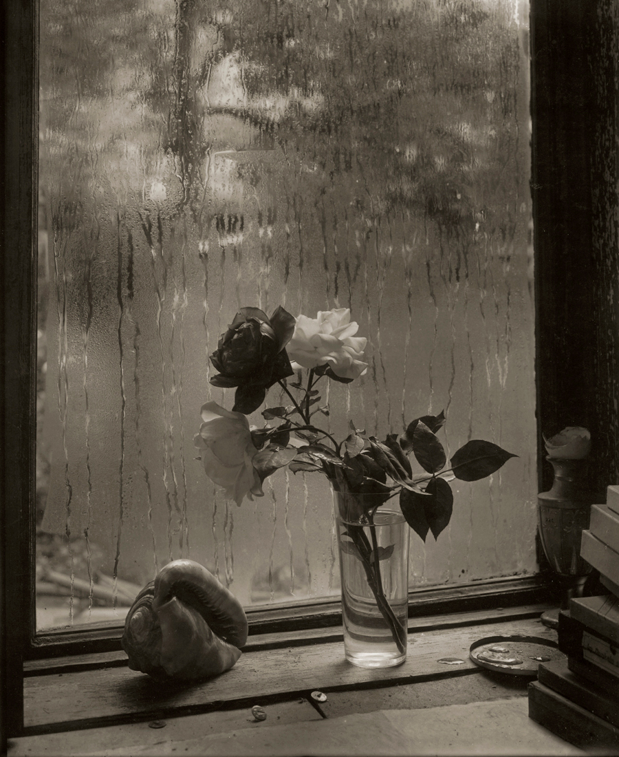 The Last Rose by Josef Sudek