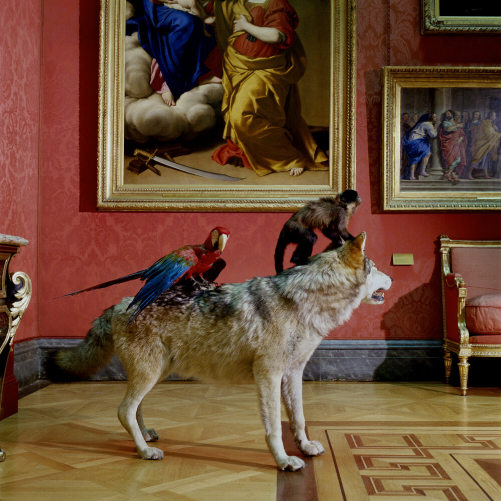 Academies — Karen Knorr