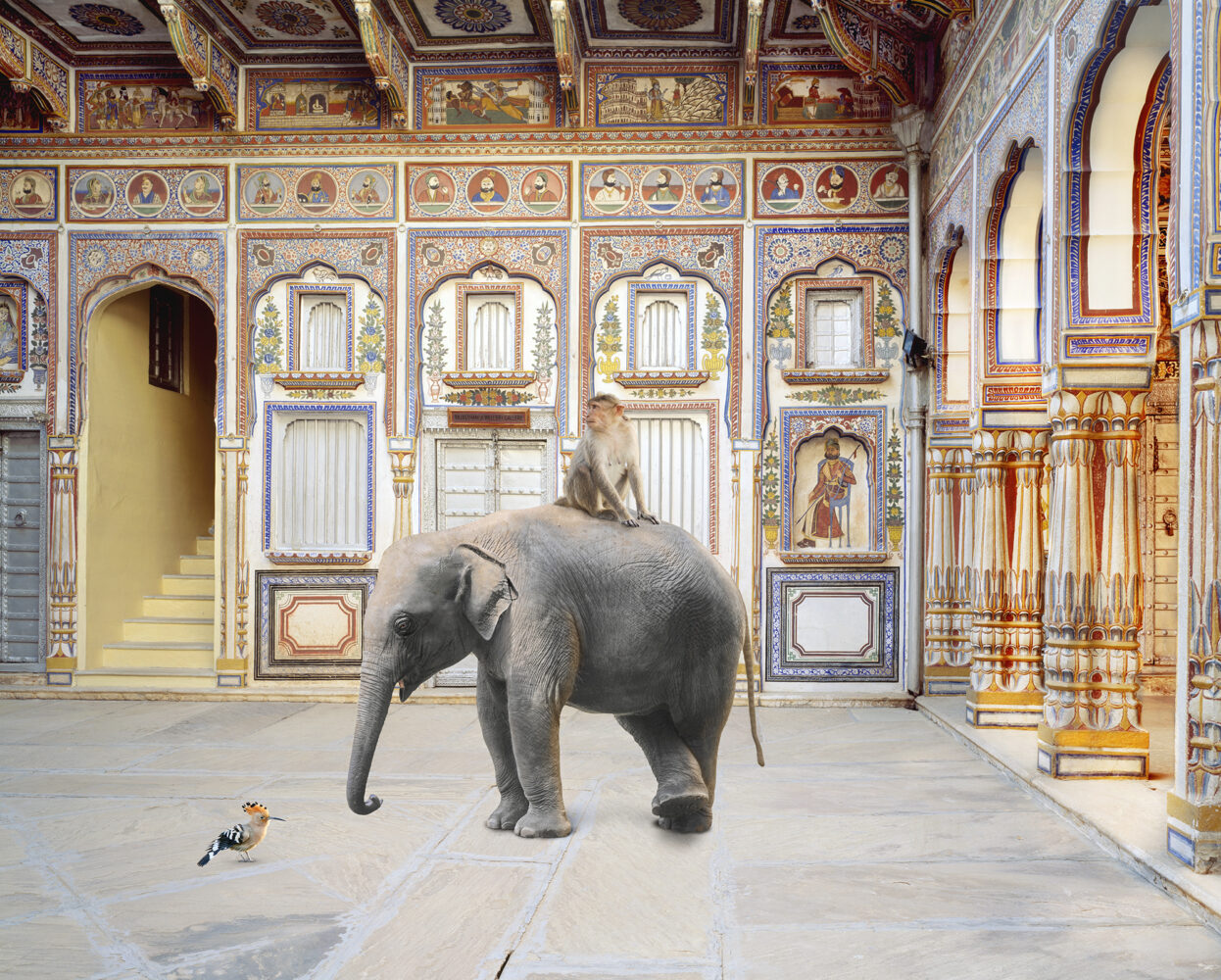 Conqueror of the World, Rajasthan — Karen Knorr