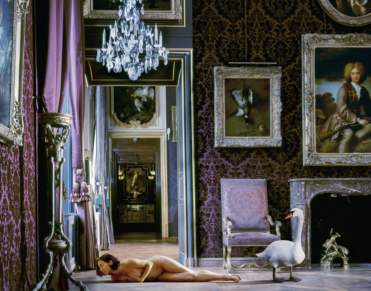 The Purple Room, Mus&eacute;e de la Chasse — Karen Knorr