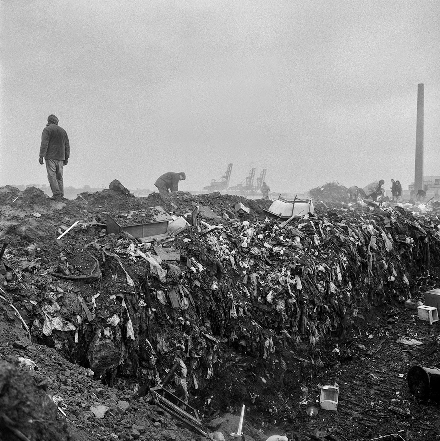 The Docks, from Benny Profane