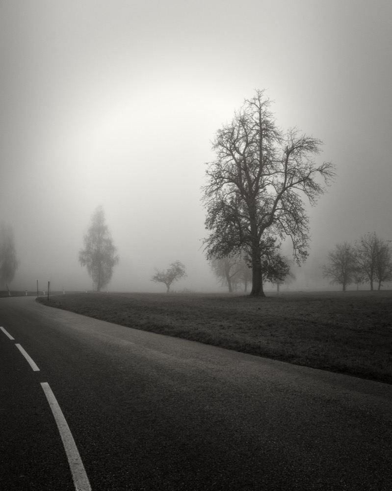 Foggy landscape evoking themes of absence, displacement, and memory
