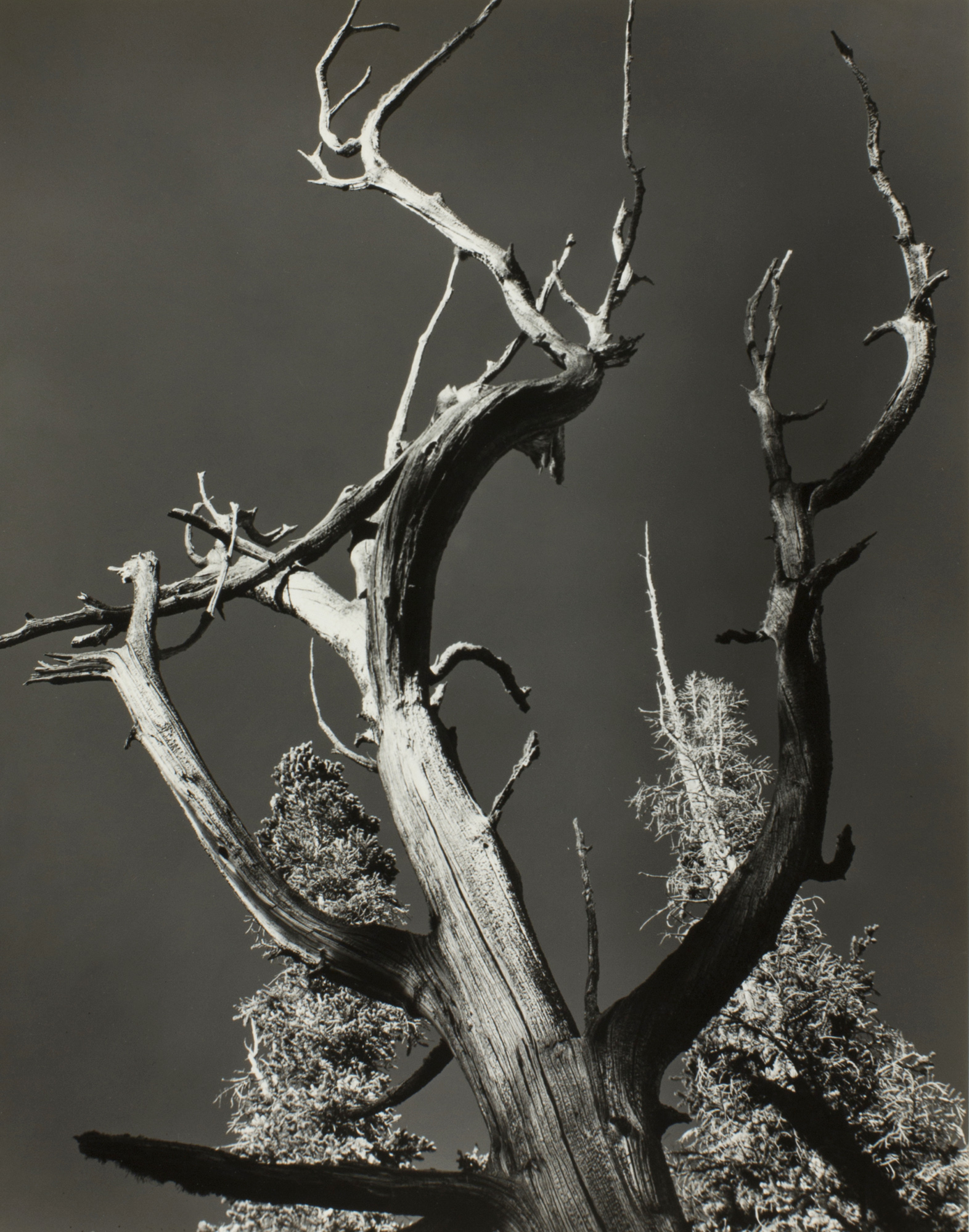 Ice Lake, Oregon, 1940 — Minor White