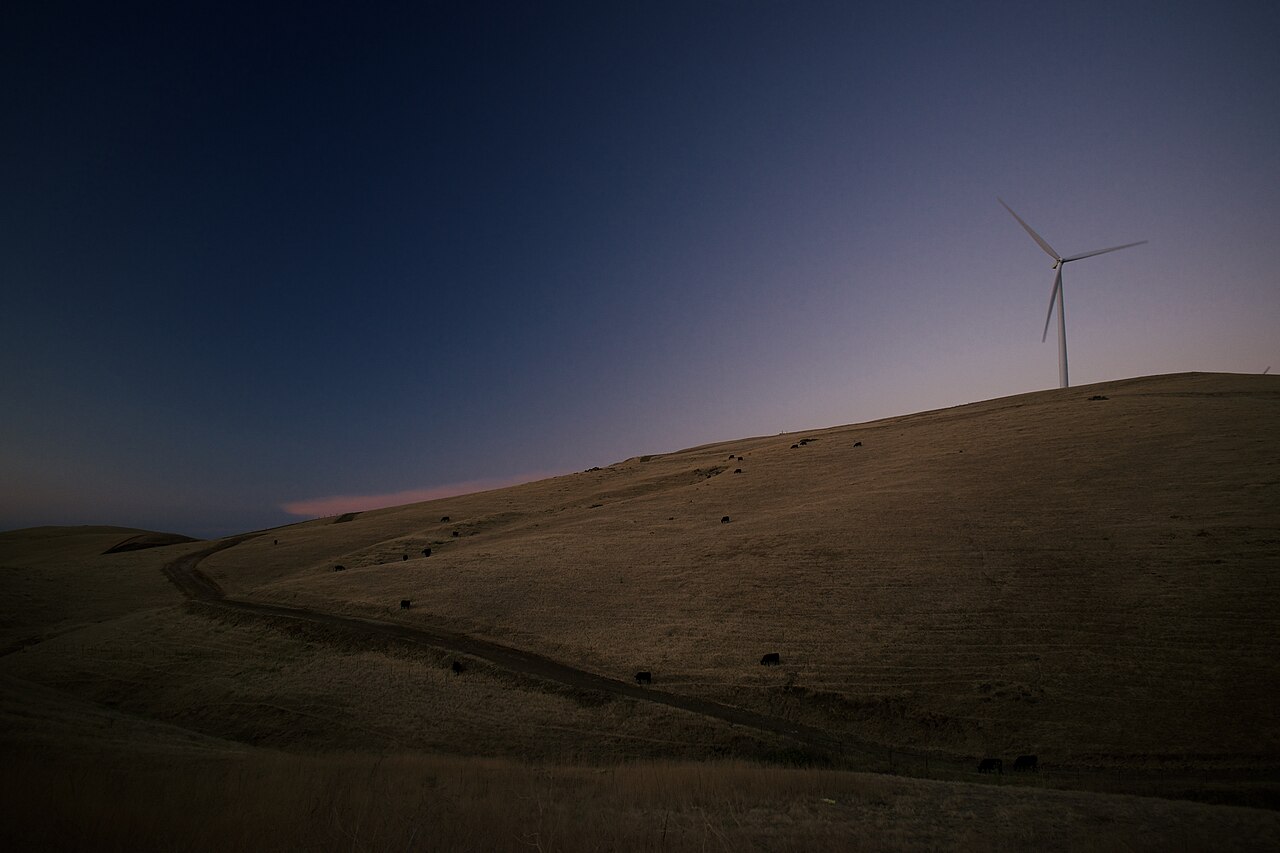 Wind turbines and pasture land at sunset, Altamont Pass Wind Farm, California