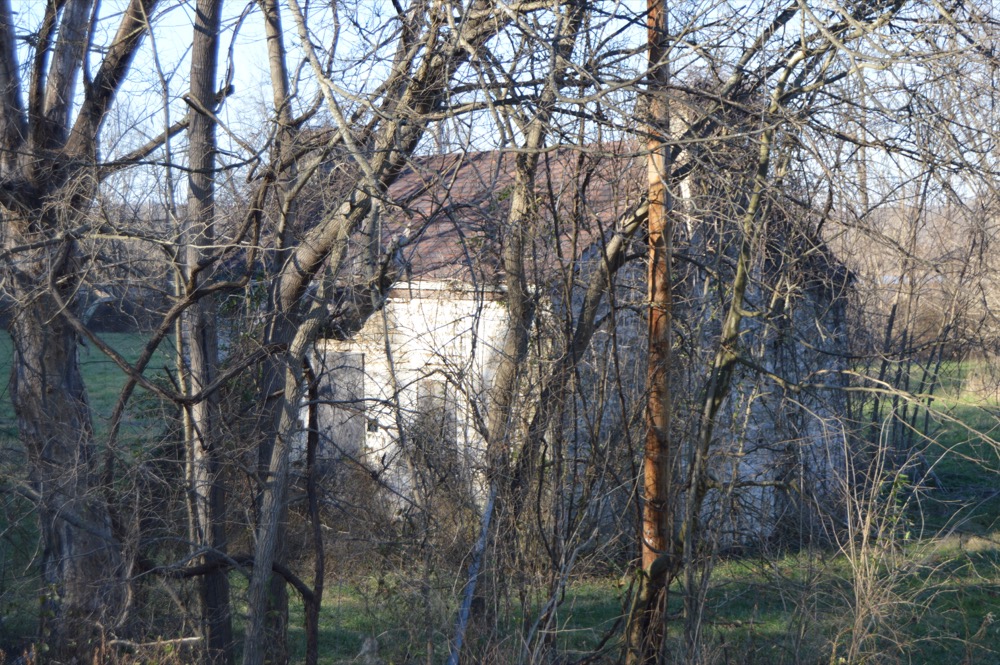 Kentucky house seen through bare winter trees, evoking the mysterious rural landscapes of Meatyard's work