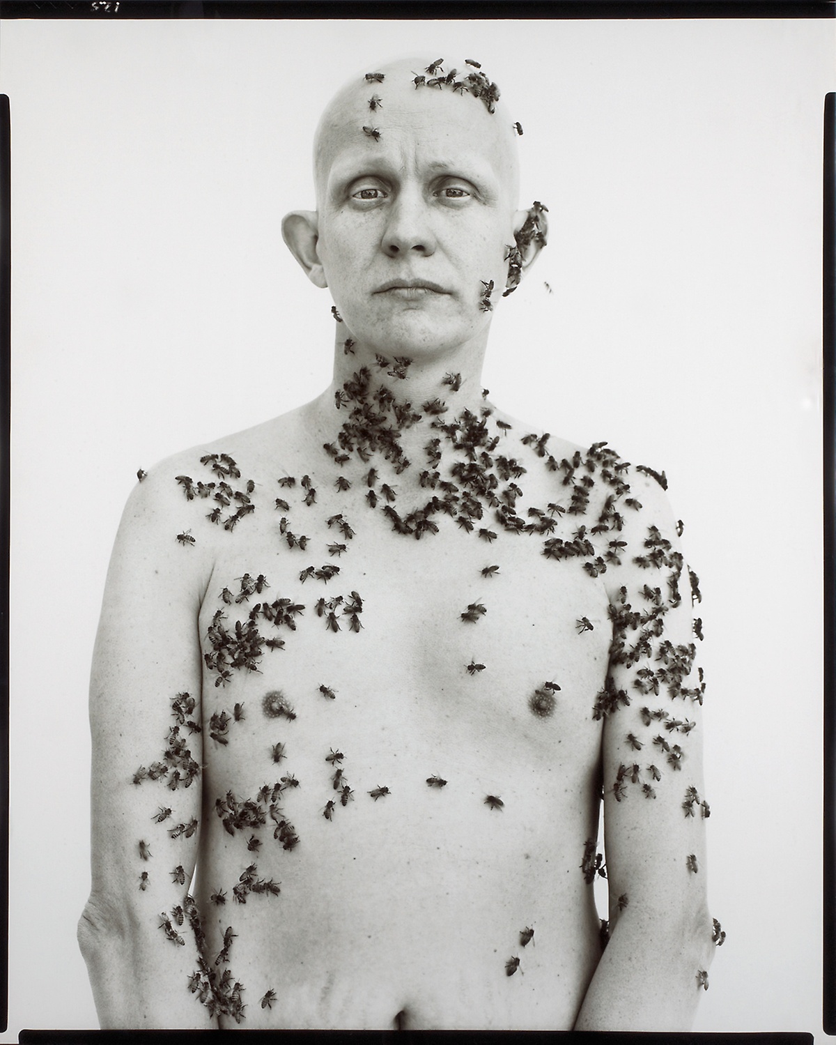 Ronald Fischer, Beekeeper, Davis, California, 1981 — Richard Avedon