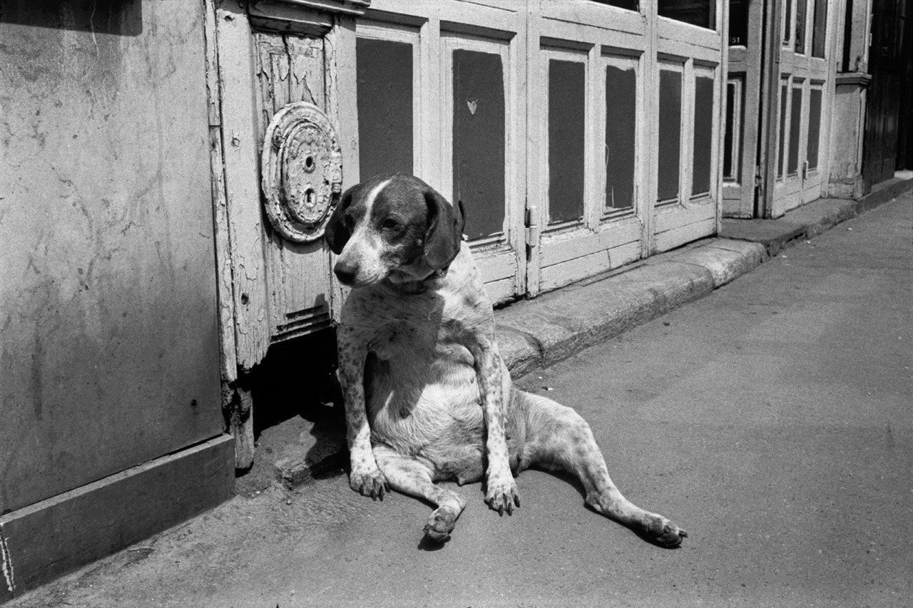 14th Arrondissement, Paris, 1974 — Richard Kalvar