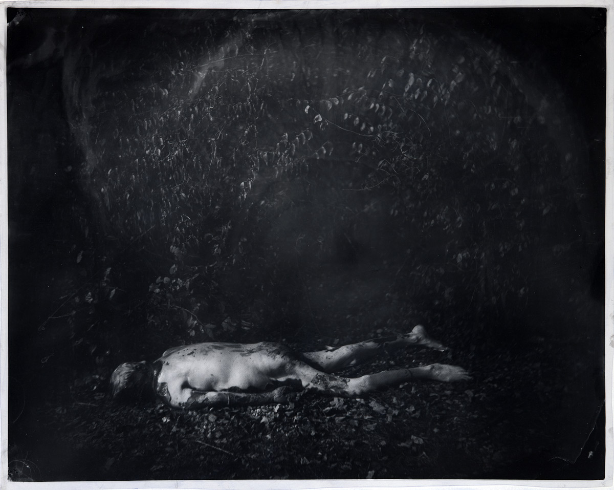 Battlefields, Antietam by Sally Mann