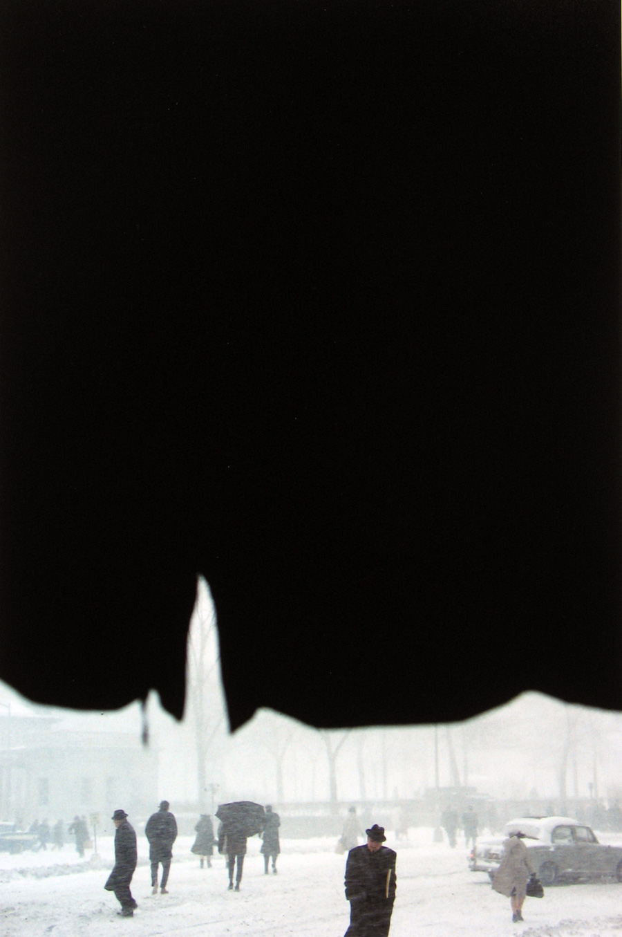 Canopy by Saul Leiter