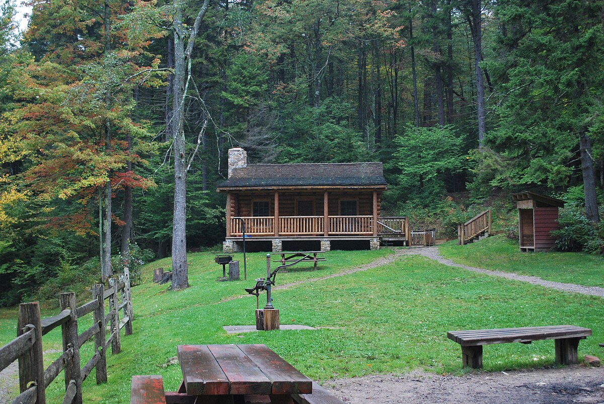 A rustic mountain cabin in the Monongahela National Forest, West Virginia — echoing the rural dwellings of Lipper's Grapevine community