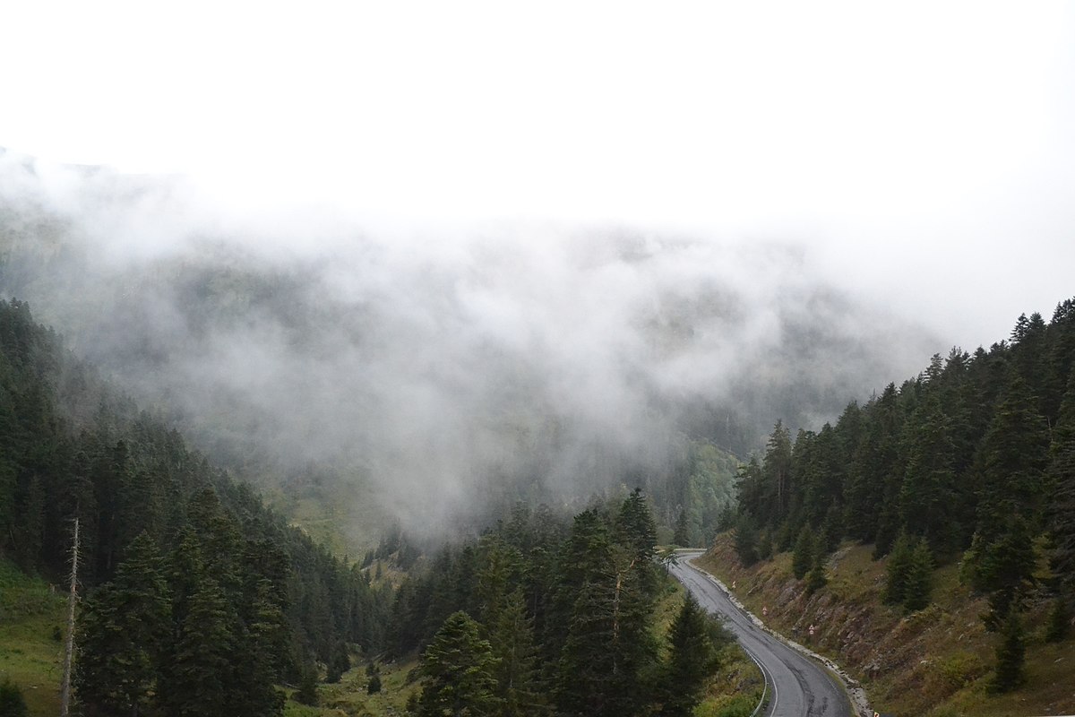 Foggy road disappearing into mist — evocative of Todd Hido's Roaming series of blurred, atmospheric landscapes