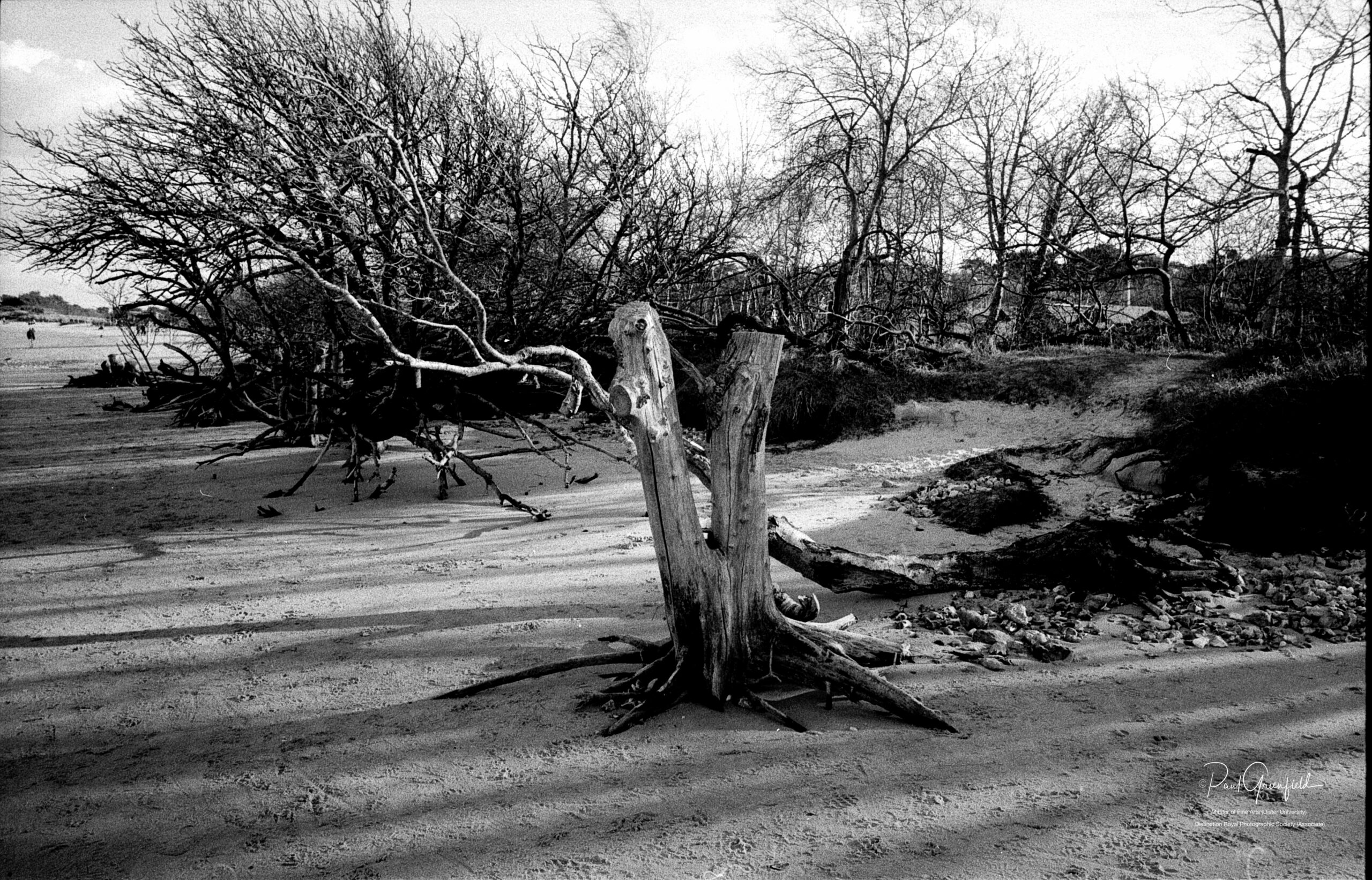 10226 EXPORT 28-02-25 Studland with Leica M6 TTL-2