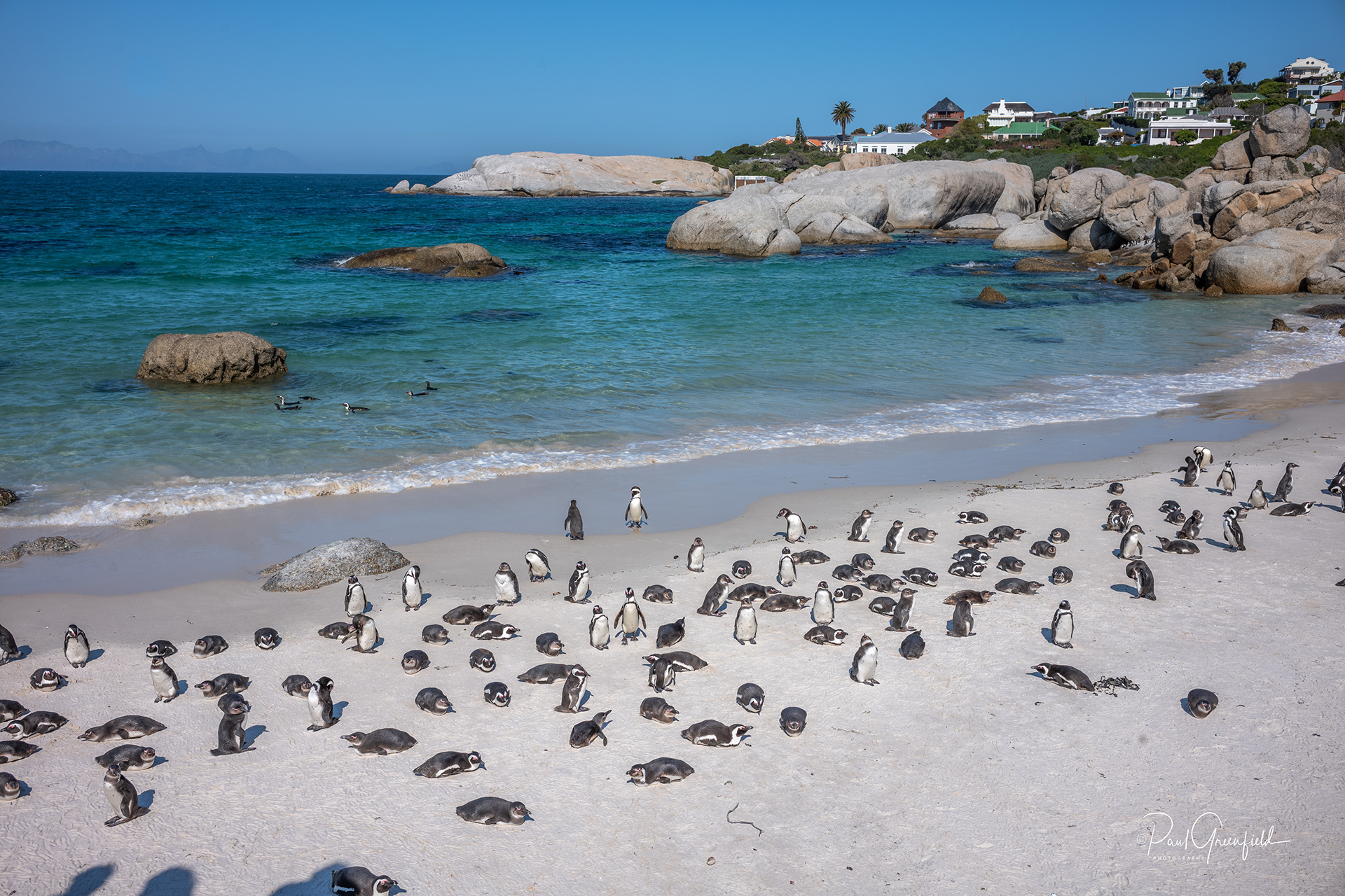 boulders beach